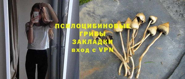 2c-b Белокуриха