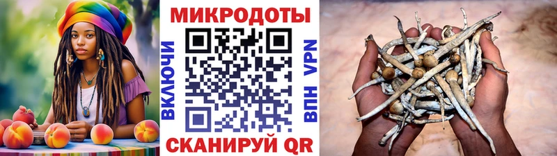 Галлюциногенные грибы ЛСД  Нижнекамск 